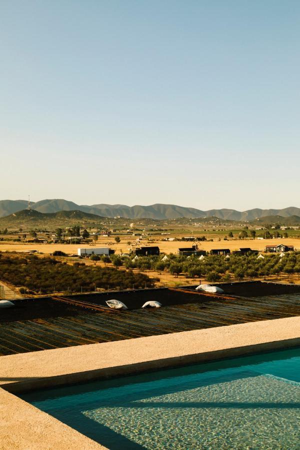 Flor De Cera Villa Valle de Guadalupe Kültér fotó